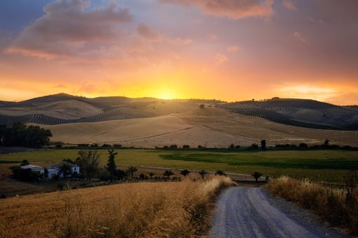 The farm lands during beautiful sunset