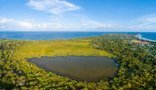 Aerial view of a lush green landscape with a lagoon surrounded by trees and a distant coastline under a clear blue sky.