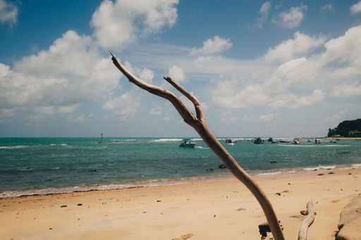 Driftwood on a sandy beach with turquoise sea and boats under a partly cloudy sky, capturing a serene coastal scene.