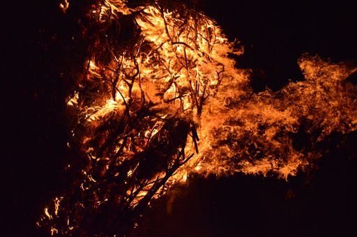 A vertical shot of bright fire flames burning on top of dried tree branches on a black background