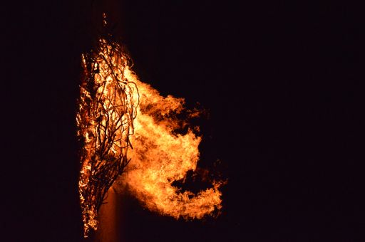 A vertical shot of vibrant fire flames coming out of dried tree branches with a black background