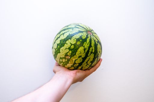 A closeup shot of a stretched male hand holding a whole watermelon on an isolated background