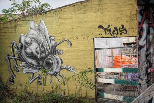 A large, detailed mural of an insect on a yellow wall, with graffiti above it. The mural features a stylized fly