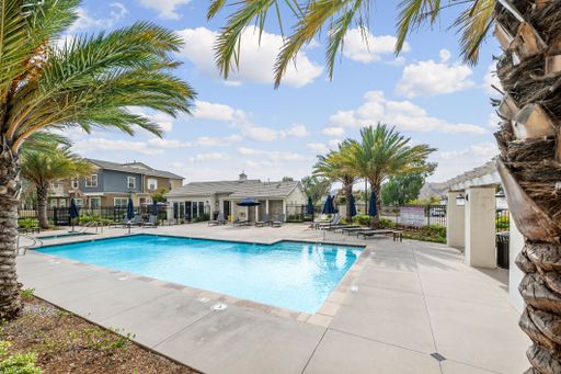 Modern residential pool area with palm trees and lounge chairs under a bright sky.