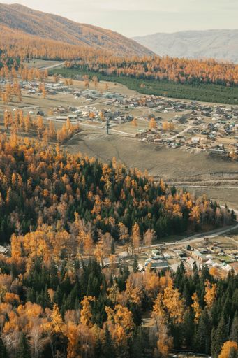 Aerial view of a quaint village surrounded by vibrant autumn foliage and rolling hills, showcasing the beauty of rural landscapes.