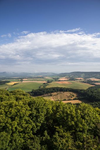 A vertical shot of freshly mowed fields and meadows surrounded by a forest under a cloudy sky
