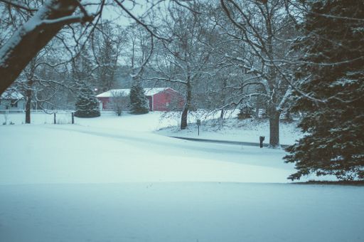 A beautiful shot of trees, ground, and houses covered with white snow during winter