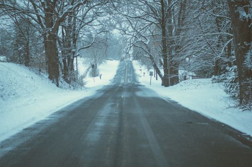 A beautiful shot of a concrete road with trees on the sides covered with white snow during winter