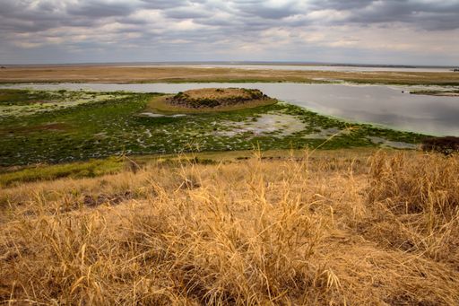View of Amboseli National Park under an overcast sky, lakes merging into savannah plains in distance. Kenya, East Africa