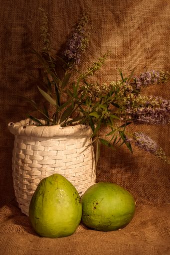 A closeup shot of a still life of a white wooden basket with flowers and mangos on a brown background