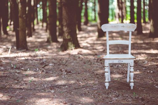 A closeup of an old white wooden chair in a forest during daylight