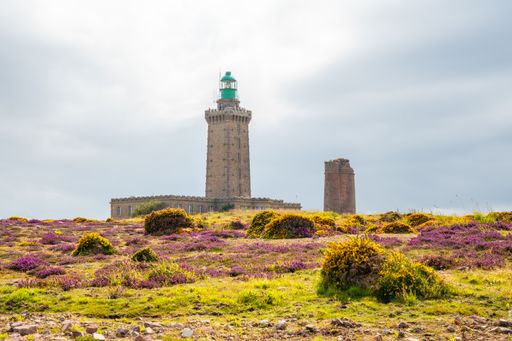 The historic Phare Du Cap Frehel lighthouse on a wildflower meadow in Cotes-d'Armor, France