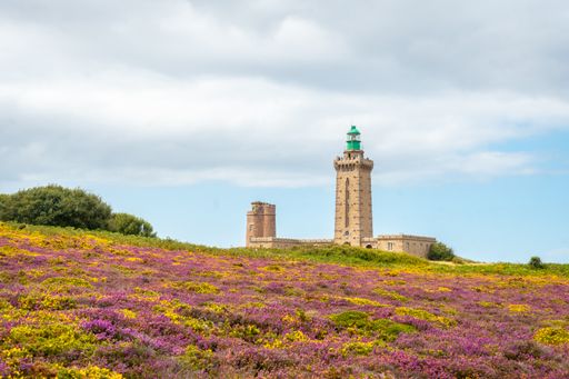 A beautiful meadow near the Phare Du Cap Frehel lighthouse in Cotes-d'Armor, France