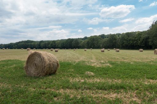 The hay rolls on the farm field after harvest in France