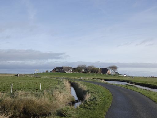 A winding road leading to a small village on the northern coast of Germany