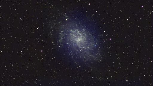 A stunning view of the Triangulum Galaxy with a field of stars in the night sky.