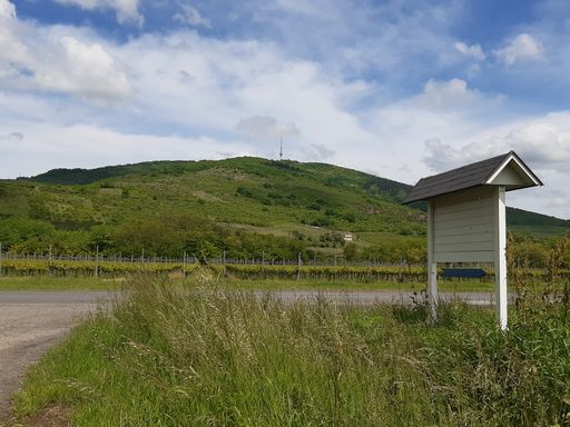A white wooden stand for announcements near the road in the countryside