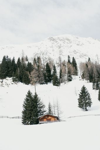A cozy wooden cabin nestled in a snowy landscape with evergreen trees and majestic mountains in the background.