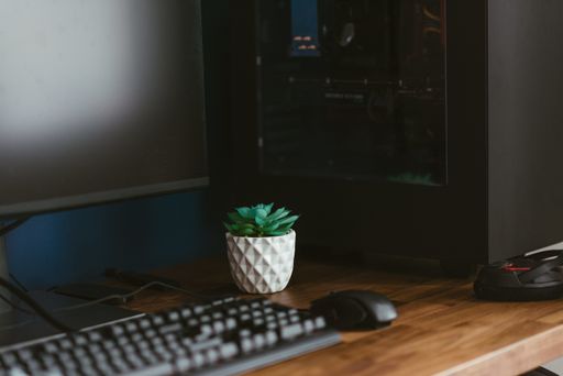A closeup shot of a small plant in a white ceramic pot next to a computer