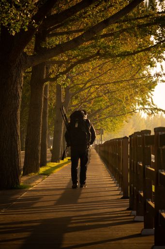 A vertical shot of a traveler walks in a beautiful park