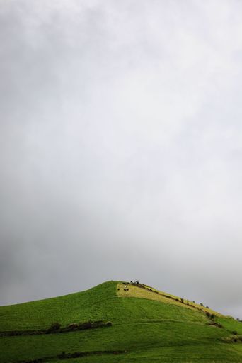 A serene green hill under a cloudy sky with a few cows grazing, capturing the peacefulness of rural life.