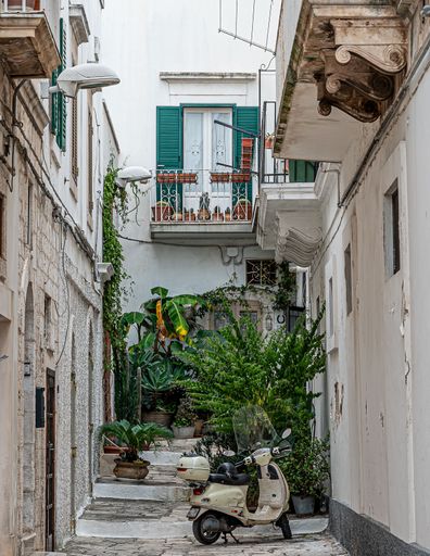 Charming Italian alley with a vintage scooter and lush plants, featuring traditional architecture and vibrant greenery.
