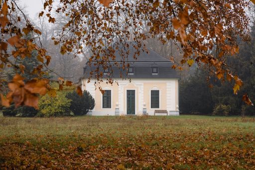 Charming cottage framed by autumn leaves in a misty park setting, showcasing seasonal beauty and tranquility.