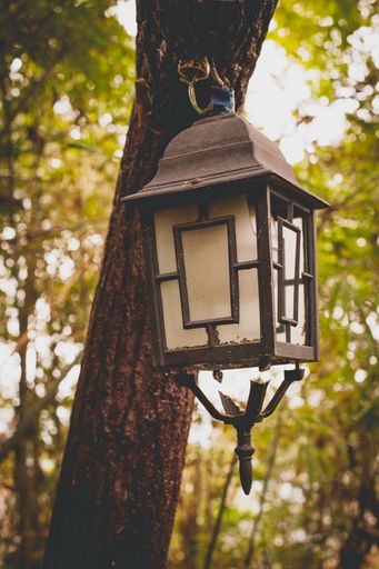 A rustic outdoor lantern hanging from a tree in a forest setting, surrounded by lush greenery and soft natural light.