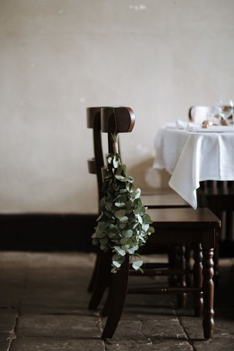 A vertical shot of a green plant hanged on a wooden chair
