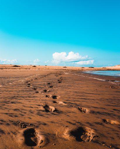 An empty sandy beach under the blue clear sky