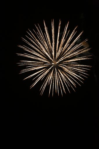 A vertical shot of the fireworks on the black background.