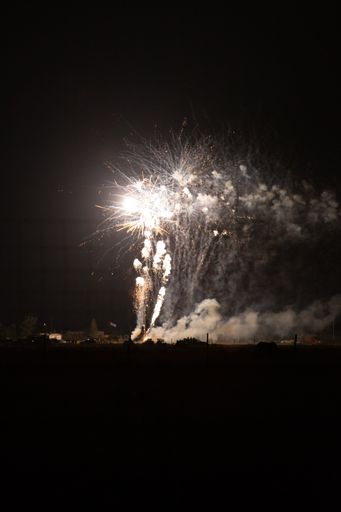 A vertical shot of the fireworks in the night sky.