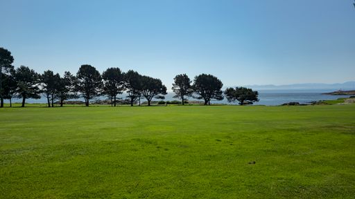 Green field with trees and ocean view under clear blue sky, serene landscape.