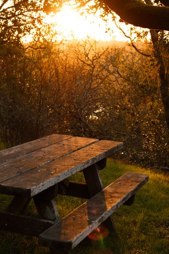 A peaceful wooden picnic bench at sunset