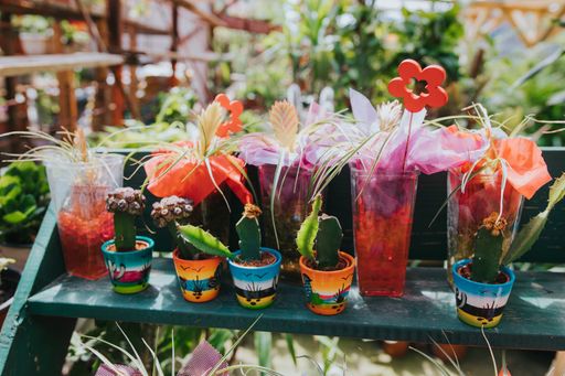 Many potted plants growing in a greenhouse