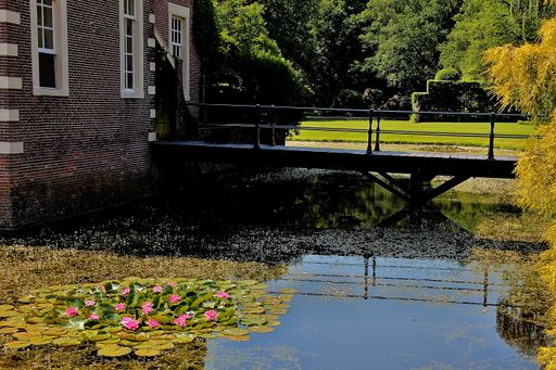 A house with a bridge over a river with water lilies surrounded by trees on a sunny day