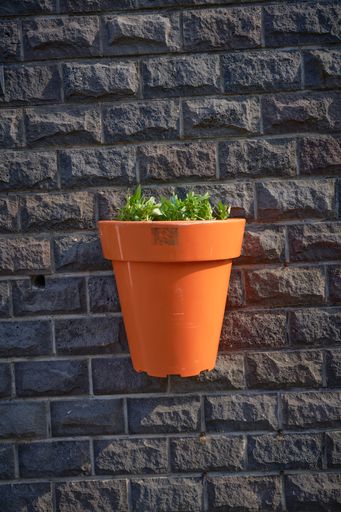 A vertical shot of a small potted plant on a brick wall under the sunlight in South Korea