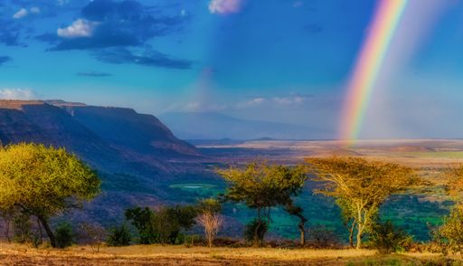 The mesmerizing view of the trees and the mountains with the rainbow in the blue sky