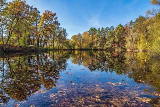A serene autumn landscape with colorful trees reflecting on a calm lake under a clear blue sky.