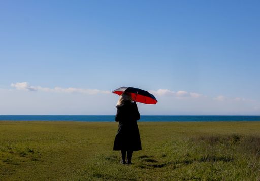 A person with an umbrella stands on a grassy field by the sea under a clear blue sky, capturing a serene and contemplative moment.