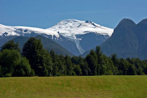 The mesmerizing view of the field and the trees with the mountains in the background