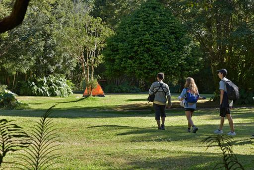 A beautiful shot of young people in the camping area with tents and trees on a sunny day