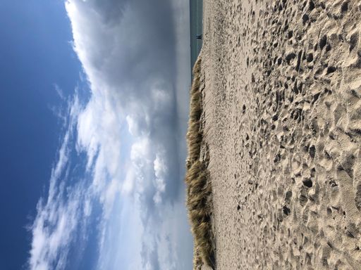 The growing wild grasses on sand dunes with dark clouds across the ocean background