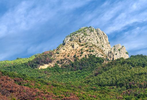 Scenic view of a rocky mountain peak surrounded by lush green forest under a clear blue sky, capturing the beauty of nature.