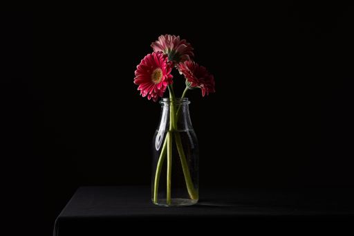 The real flowers in a milk bottle-type vase on a black background