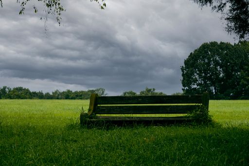 A beautiful shot of a bench in a huge park under the cloudy skies