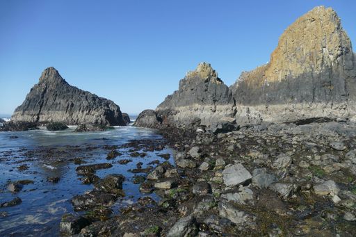 A beautiful view of the rocky cliffs under the blue sky on the coast in Oregon, USA