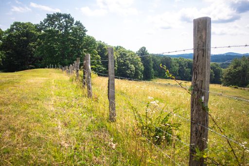 The Barbed Wire Fence along a pasture on the Blue Ridge Parkway.