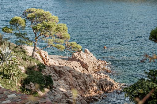 A beautiful view of a rocky coast with green trees and blue calm water - vacation