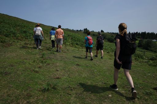 Group of hikers walking uphill on a grassy trail under a clear sky, surrounded by lush greenery and distant trees.